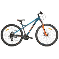 Aist - Rocky 3.0 Disc 29" (2024)
