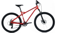 Forward - Flash 26 CX disc (2026)
