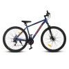 City-Ride - 29 (CR-B2-SH01)