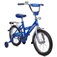 Байкал - 16 (В1603) Байкал - 16 (В1603)