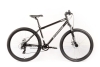 Forward - Sporting 29 SX disc (2025)