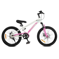City-Ride - 20" (CR-B2-12B)